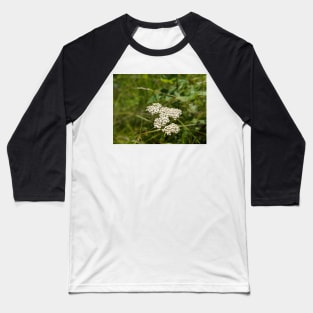 White bunch flowers in field Baseball T-Shirt